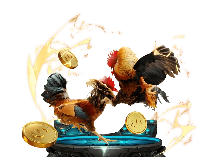 Hướng dẫn đặt cược đá gà VN88